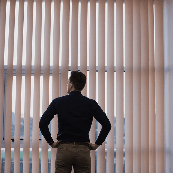 Vertical Blinds